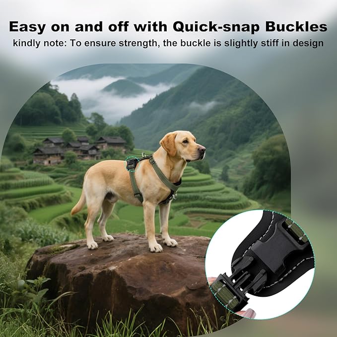 Plutus Pet Adjustable No Pull Dog Harness with Leather Accents, Heavy Duty Reflective Nylon Vest for Training, Hiking, Easy Walk Harness for Small, Medium, Large Dogs (Ranger Green, S)