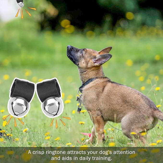 SCENEREAL Large Bell for Dog Collar, 2 Pack 1" Extra Loud Collar Bells for Cats and Dogs Training, Hiking, Walking, Hunting, Pet Tracker, Pet Bell for Save Wildlife and Birds Silver