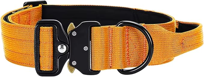 Heavy Duty Tactical Dog Collar, Adjustable Nylon with Metal Buckle, Multiple Colors (Orange, L)
