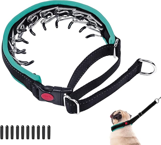 Martingale Collar - Hidden No Pull Dog Collar with Buckle, Reflective Nylon Adjustable Limited Slip Collar for Large, Medium, Small Dogs - Anti Pull Training Walking S Green