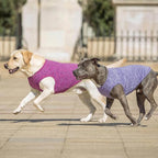 KYEESE 2 Pack Dog Shirts Quick Dry Soft Stretchy Pet T-Shirts with Reflective Label Tank Top Sun Protection Sleeveless Vest Dog Clothes for Medium Large Dogs, XX-Large, Purple+Pink