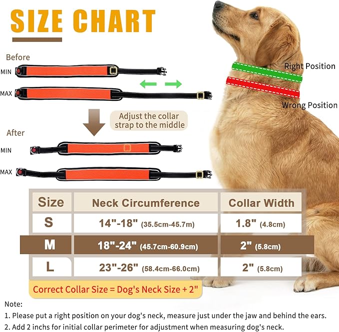 Martingale Collar for Dogs, Reflective No Pull Dog Collar for Medium Large Dogs, Adjustable Anti Pull Dog Collar for Walking Training, Heavy Duty Nylon Slip Collar with Buckle 2 Inch Wide M Orange