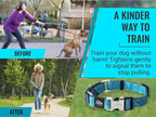 Blue Martingale Collar for Dogs - Heavy Duty Nylon Pet Collars for Escape-Free, No Pull Training & Walking with Alloy Metal Release Buckle & Reflective D Ring, One Time Adjustment, Safe & Secure, M