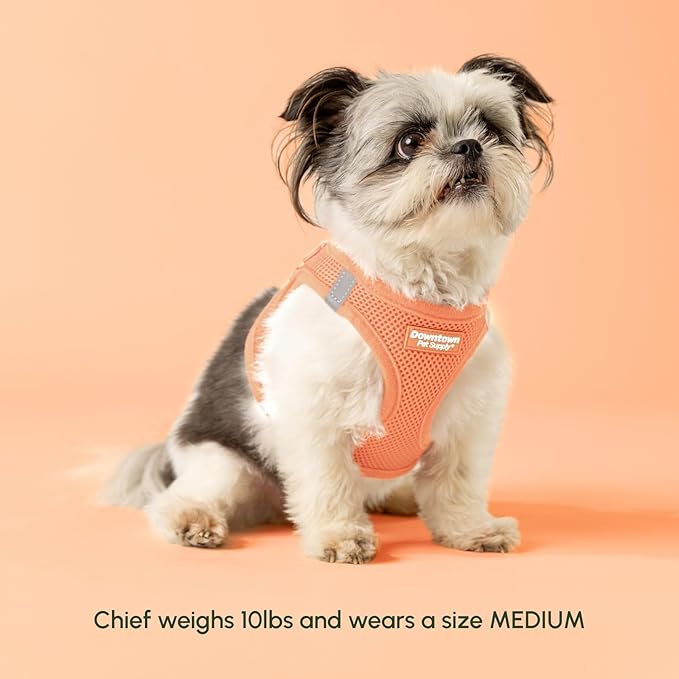 Downtown Pet Supply Step in Dog Harness for Large Dogs - Adjustable, Escape Proof Dog Harness with Reflective Trim - All-Weather, Fast-Drying Padded Mesh Fabric - Tangerine, X-Large