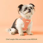 Downtown Pet Supply Step in Dog Harness for Large Dogs - Adjustable, Escape Proof Dog Harness with Reflective Trim - All-Weather, Fast-Drying Padded Mesh Fabric - Tangerine, X-Large
