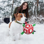 QDAN Small Christmas Dog Toys, Soccer Ball with Straps, Outdoor Interactive Toys for Tug of War, Puppy Birthday Gifts, Water Toy, Durable Dog Balls for Puppy (5 Inch)