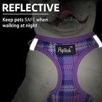 PUPTECK Dog Harness and Leash Set for Small Medium Dogs No Pull Step-in Soft Mesh Puppy Cat Vest Harnesses Reflective at Night, Plaid Pattern Purple S