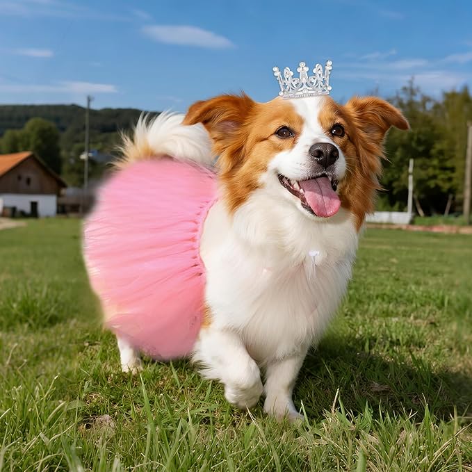 2 Pcs Dog Tutu Dress with Pearl Crown for Small Medium Pet Cat Dog Halloween Costume Dress for Ballet Birthday Party Wedding Photo Prop