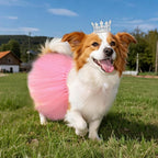 2 Pcs Dog Tutu Dress with Pearl Crown for Small Medium Pet Cat Dog Halloween Costume Dress for Ballet Birthday Party Wedding Photo Prop
