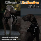 rabbitgoo Escape Proof Dog Harness with Large Handle