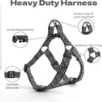 QQPETS Dog Harness Leash Set Adjustable Heavy Duty No Pull Halter Harnesses for Small Medium Large Breed Dogs Back Clip Anti-Twist Perfect for Walking