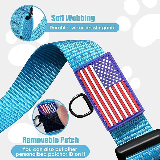 Martingale Collar for Dogs, Reflective Heavy Duty with Quick Release Nylon Buckle-USA Flag-No Pull Training Choker for Walking, Training, Sky Blue,L
