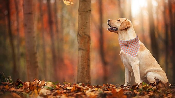 Elegant Little Tail Bandana for Boy Girl Small Medium Large Dogs, Comfortable Bibs Scarf, Adjustable Square Kerchief