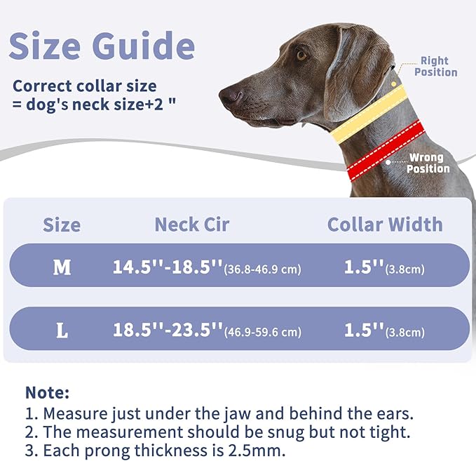 Mayerzon Martingale Dog Collar for Pulling, Patented No Pull Training Walking Collar with Buckle for Medium Large Dogs Bulldog Pitbull German Shepherd, Reflective, Adjustable, Heavy-Duty(L, Purple)