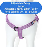Pawtitas Reflective Step-in Dog Harness – Adjustable No-Pull Vest for Puppies to Seniors, Safe & Comfortable, L Orchid