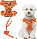 PUPTECK Halloween Small Dog Harness and Leash Set, No Pull Adjustable Puppy Cat Harness, Reflective Soft Mesh Pet Vest Small Sized, Pumpkin, M