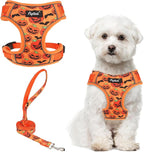PUPTECK Halloween Small Dog Harness and Leash Set, No Pull Adjustable Puppy Cat Harness, Reflective Soft Mesh Pet Vest Small Sized, Pumpkin, M