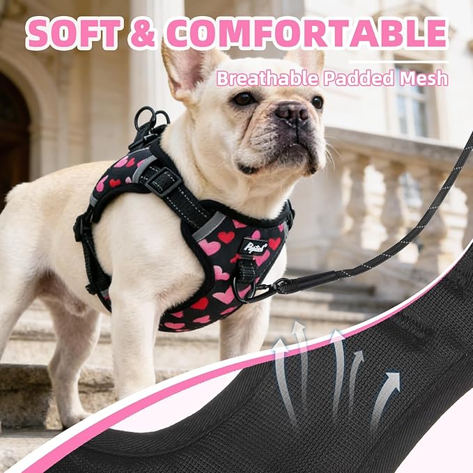 PUPTECK No Pull Dog Harness Small Sized Dog, Adjustable Reflective Escape Proof Easy Control, Comfortable Soft Padded Step in Pet Vest Harness, Heart, M