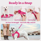 rabbitgoo Dog Harness Small Medium Sized and Leash Set, Step in Soft Light Puppy Vest, Breathable Mesh Pet Harness, Reflective for Safe Easy Walking, Rose Red L