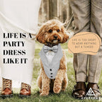AVERYDAY Dog Tuxedo for Wedding Outfit, Dog Suit and Tie Costumes for Birthday, Halloween, Cosplay, Christmas Party, Pet Formal Wear with Bowtie, Tux for Medium Large Dogs, Bulldog, Labrador, Husky