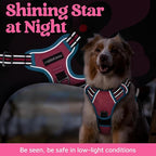 rabbitgoo Dog Harness Medium Sized, No Pull Dog Vest with 3 Buckles, Adjustable Soft Padded Pet Harness with Easy Control Handle and Reflective Strips, Rose Pink & Blue, M