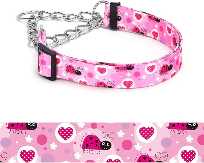 Martingale Dog Collar - Stainless Steel Chain, No Pull Training Collar with Flower Design for Large Medium Small Dogs (20, S)