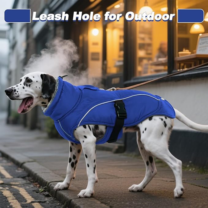 DENTRUN Winter Warm Dog Coat Reflective Jacket with Turtleneck for Cold Weather, Adjustable Buckle Windproof Water Repellent, Thick Snowsuit Fleece Vest for Small, Medium, Large Dogs, Blue, S