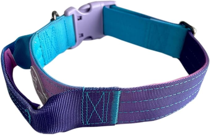 Tactical Dog Collar with Control Handle - Adjustable, Heavy Duty, Training and Walking for Medium and Large Breeds (M), Purple Blue gradient