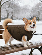 AURUZA Dog Winter Coat, Warm Waterproof Dogs Jacket Small Pet Vest for Medium Dogs Windproof Pet Fleece Vest Snow Jacket for Cold Weather(Brown,XL)