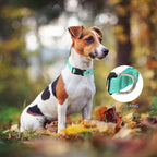Martingale Dog Collar with Quick Release Buckle Steel Chain No Pull Training Reflective Collar for Medium Large Dogs(Teal, Medium)