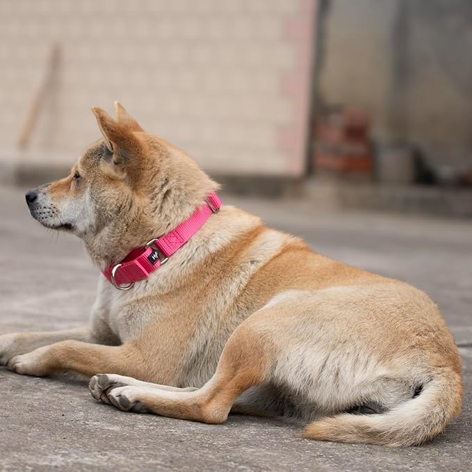 Hyhug Martingale Dog Collar Medium Pink |Escape - Proof Heavy Duty Nylon Durable No Slip, Ideal for Training & Daily Walks