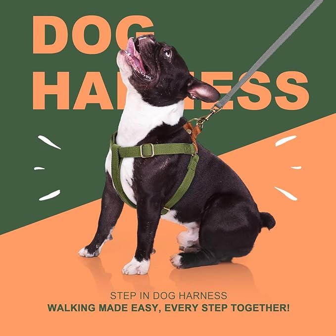 Didog Step in Dog Harness with Metal Buckles, Freedom Nylon Dog Halter Vests for Small Dogs Easy Walking Training(S:Chest 13-22", Green)