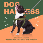 Didog Step in Dog Harness with Metal Buckles, Freedom Nylon Dog Halter Vests for Small Dogs Easy Walking Training(S:Chest 13-22", Green)