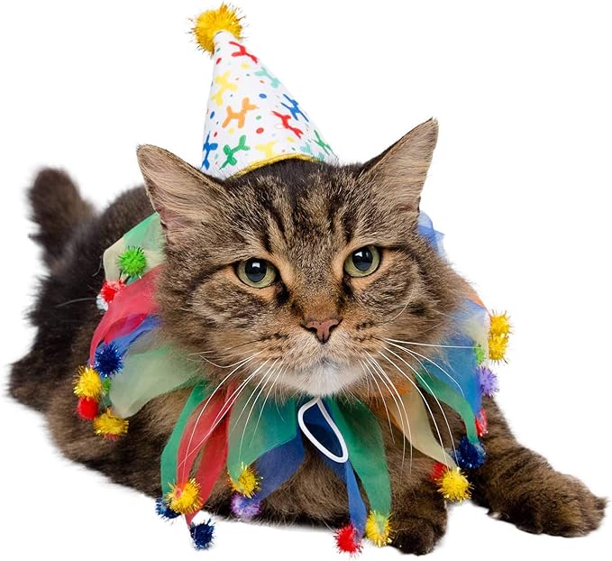 Pet Krewe Dog Clown Costume Happy Birthday Hat & Collar Outfit | 1st Bday Party, National Cat Day, Photo Shoots & Celebrations | Doggie & Puppy Clothes | Ideal Gift for Small, Medium & Large Pets