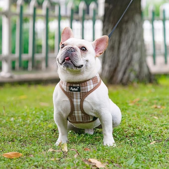 PUPTECK Soft Mesh Dog Harness and Leash Set Pet Puppy Cat Comfort Padded Vest No Pull Harnesses, Brown, XS