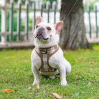 PUPTECK Soft Mesh Dog Harness and Leash Set Pet Puppy Cat Comfort Padded Vest No Pull Harnesses, Brown, XS