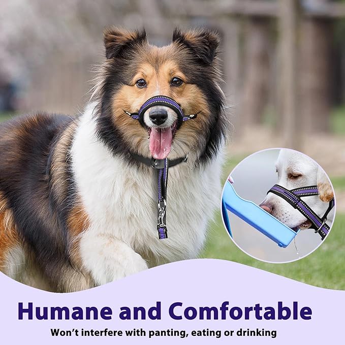 BARKLESS Soft Dog Head Collar, Patented Padded No Pull Head Halter, Training Nose Leash with Safety Link for Medium Large Dogs, Adjustable Muzzle Leash, Easy Control for Walking (XL, Purple)