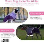 AOFITEE Dog Coat - Two Legged Medium Dog Winter Jacket - Zip Up Dogs Cold Weather Coat with Harness, Warm Pet Puffer Jackets Reflective Pet Snow Coats for Pug, Jack Russell, Boston Terrier, Purple M
