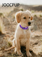 Martingale Dog Collar, Reflective No Pull Training Collar with Quick Release Buckle, Adjustable Heavy Duty Nylon Choker Collars for Small Medium Large Dogs(S,Purple)