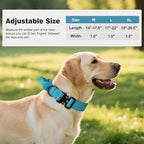 Joytale Tactical Dog Collar for Large Dogs with Control Handle, Heavy Duty Military Training Collar for Power Breeds, AirTag Holder Case, Quick Release Metal Buckle, Soft Padded, L, Sky Blue