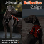 rabbitgoo Escape Proof Dog Harness, Soft Padded Full Body Pet Harness, Reflective Adjustable No Pull Vest with Lift Handle and Leash Clip for Large Dogs Walking Hiking Training, M, Orange