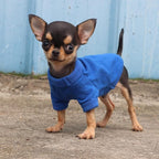LOPHIPETS 100% Cotton Dog Tee Shirt for Small Dogs Teacup Chihuahua Yorkie Puppy Clothes-Blue/XXS