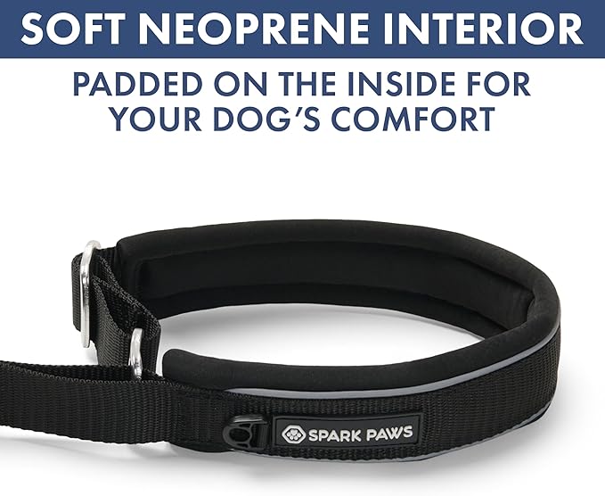 Spark Paws Martingale Dog Collar – Cushioned Slip-On Training Collar, Heavy Duty, Safety-Tested No-Buckle Collar for Medium & Large Dogs - Black - C