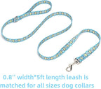 Dog Collar with Leash Airtag Holder Case Set - Dog Collars for Male Female Boy Girl Puppy X-Small Small Medium Large Dogs Walking Running Training - Blue Lattice/M