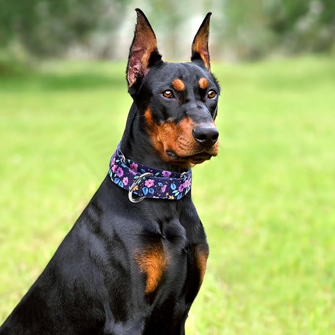 Wide 1.5 Girl Martingale Collar for Dogs,No Pull Heavy Duty Floral Dog Collar for Medium Large Extra Large Female Dogs L