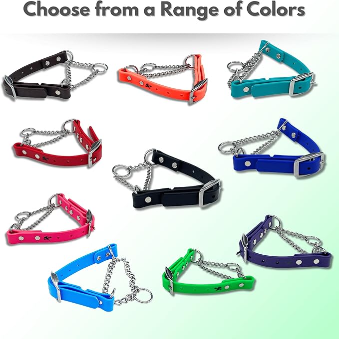 Martingale Collar for Dogs, Biothane, Stainless Steel Hardware, No Pull, Made in The USA, Professional Grade, XXS, Red