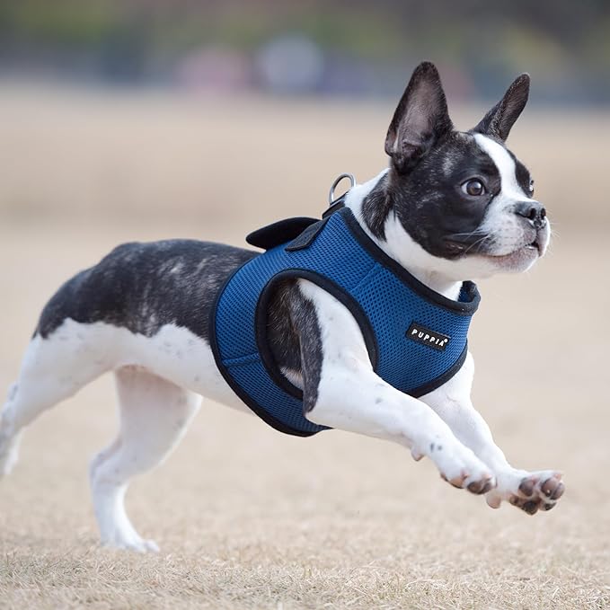 PUPPIA International Puppia Harness Soft B Vest Royal Blue Large