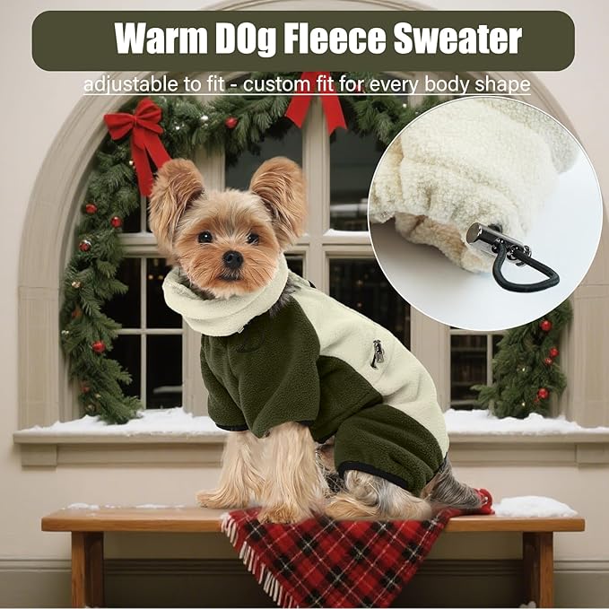 DENTRUN Small Dog Winter Coat, Warm Fleece Jacket with Removable Turtleneck, Dog Cozy Sweater for Puppy Cold Weather, Windproof Costume, Soft Woolly Pajamas