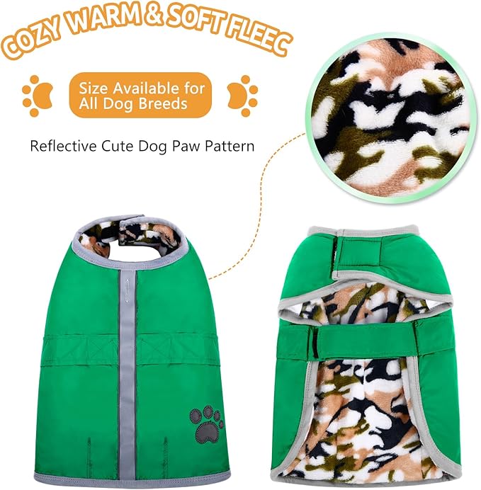 Queenmore Dog Winter Coat, Cold Weather Fleece Jacket for Dogs, Waterproof Reflective Reversible, for Small, Medium and Large Dogs (Green, XS)