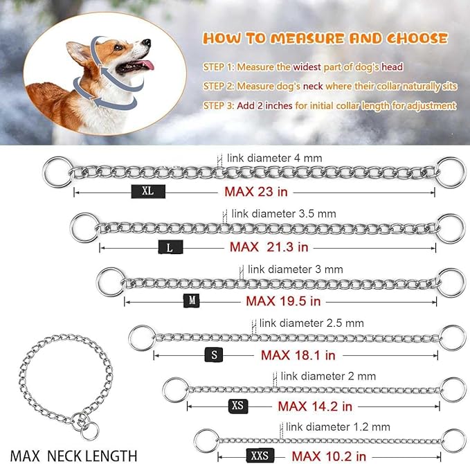 Dog Chain Collars, Metal Choke Link Dog Collar Choker Training Heavy Duty Slip Martingale Puppy Collars for XS Small Medium Large Big XL Breed Dogs (Silver, XS(12inch) D2.0mm)